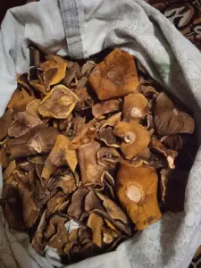Грибы сушёные