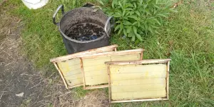 Матрица пчелиная для изготовления вощины валиком.