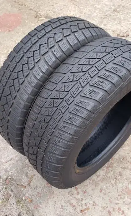 Шины зимние 195/65 R15 (2 шт.)