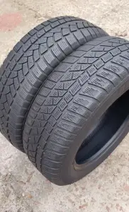 Шины зимние 195/65 R15 (2 шт.)