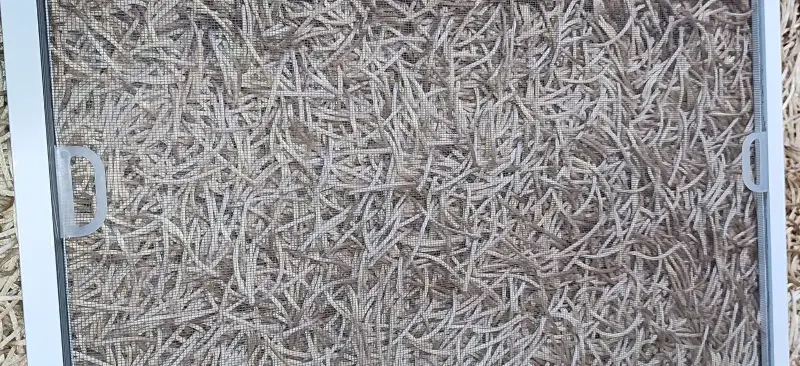 Сетка москитная 1315-590мм в сборе