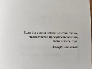 Бернар Вербер: 'Пророчество о пчёлах'