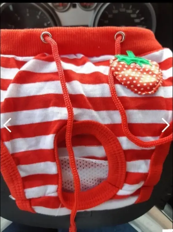 Одежда и обувь для животных - Гигиенические трусы для собак - Вся Беларусь Гигиенические трусы для собак - Вся Беларусь - 229217 - Доска объявлений Kupika.by