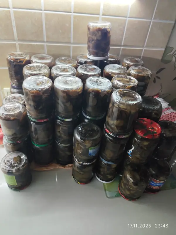 Продукты питания - Грибы в любом виде - Вся Беларусь - Фото 7 Грибы в любом виде - Вся Беларусь - 228712 - Доска объявлений Kupika.by - Фото 7