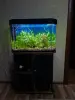 Аквариум - Вся Беларусь - 230505 - Доска объявлений Kupika.by - Фото 2