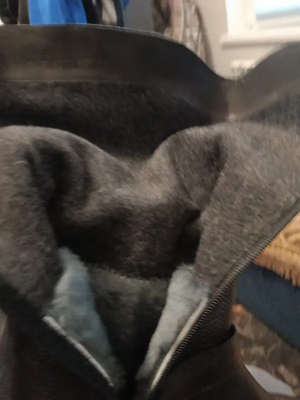 Женская обувь БУ и новая - Новые кожаные сапоги - Вся Беларусь - Фото 4 Новые кожаные сапоги - Вся Беларусь - 230012 - Доска объявлений Kupika.by - Фото 4