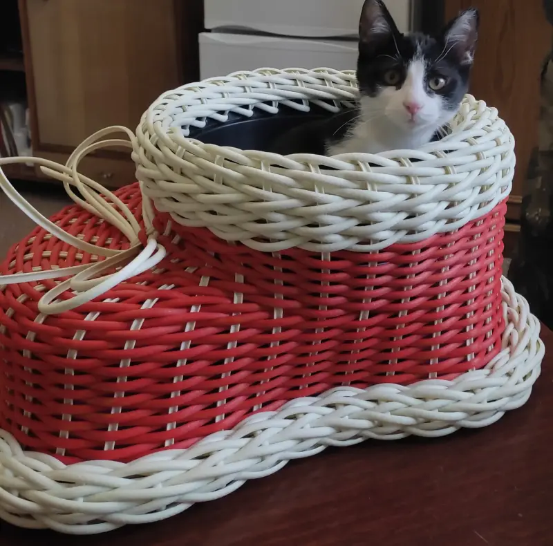 Изделия из ротанга - Вся Беларусь - 231258 - Доска объявлений Kupika.by - Фото 3