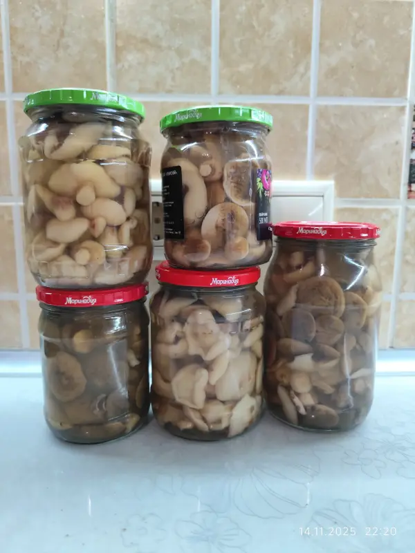 Продукты питания - Грибы в любом виде - Вся Беларусь Грибы в любом виде - Вся Беларусь - 228712 - Доска объявлений Kupika.by