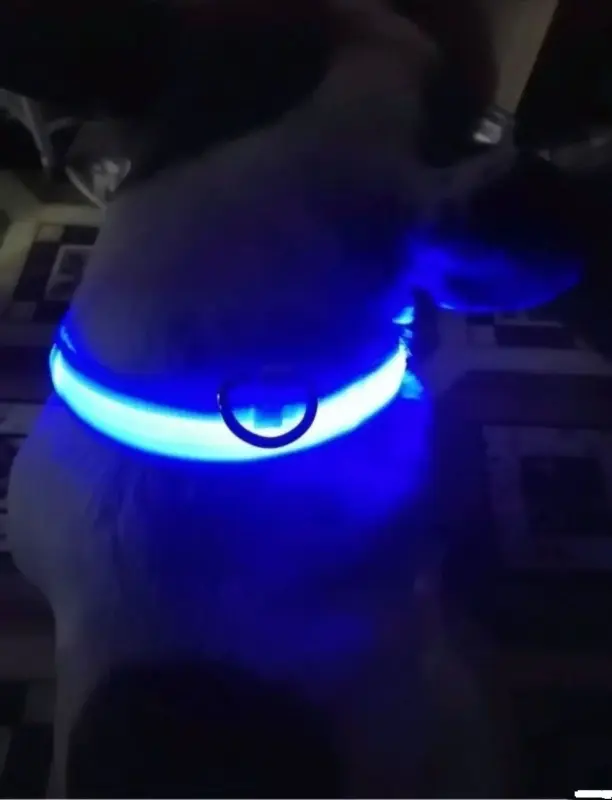 Ошейники и поводки - Светодиодный ошейник - Вся Беларусь - Фото 3 Светодиодный ошейник - Вся Беларусь - 229962 - Доска объявлений Kupika.by - Фото 3