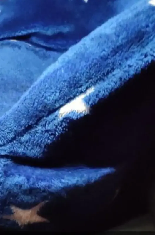 Мягкое поролоново-плюшевое кресло-лежанка для вашего 4-ногова питомца