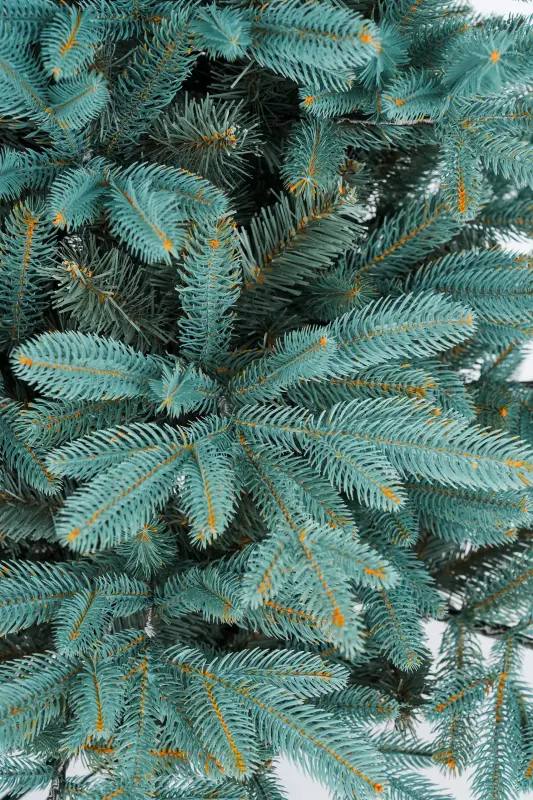 Новогодние товары - Елка искусственная Микс 165см - Вся Беларусь - Фото 4 Елка искусственная Микс 165см - Вся Беларусь - 229378 - Доска объявлений Kupika.by - Фото 4