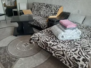 1-комнатная на часы/сутки по Каштановой,5