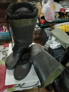 Зимние Бахилы