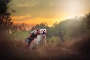 Фотограф Фотосъемка Детская Семейная Свадебная Интерьерная