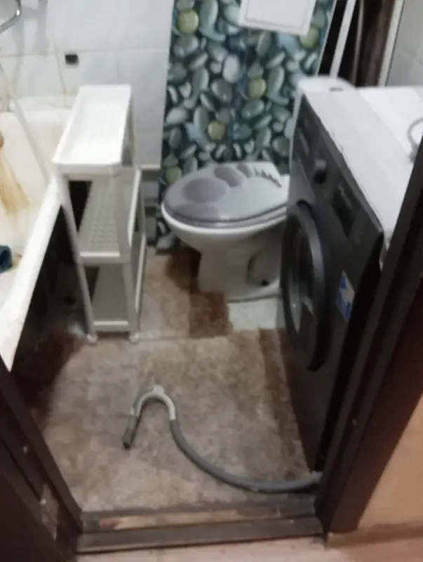 Сдам квартиру можно с животными - Вся Беларусь - 230721 - Доска объявлений Kupika.by - Фото 4