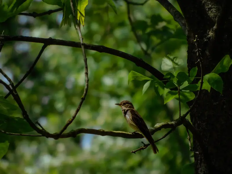 Фотоаппарат nikon b500 - Вся Беларусь - 231482 - Доска объявлений Kupika.by - Фото 6