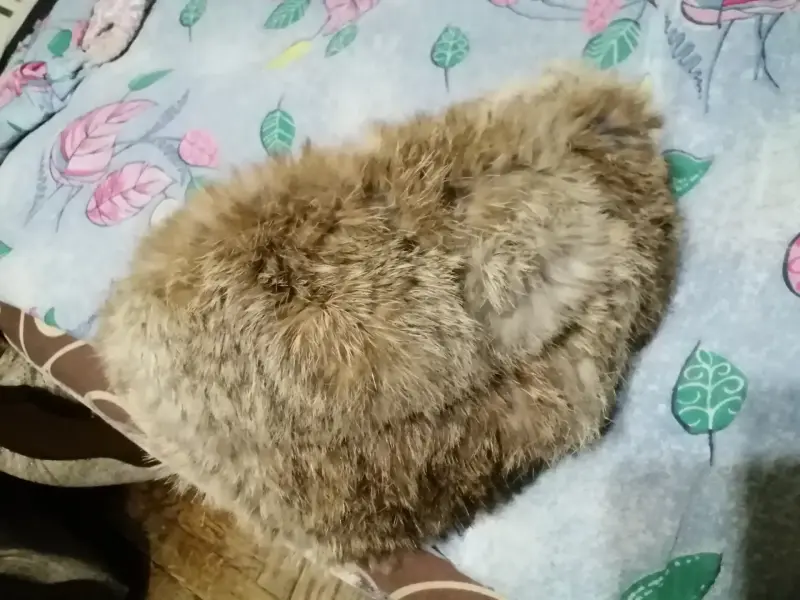 Шапка из натурального меха норка