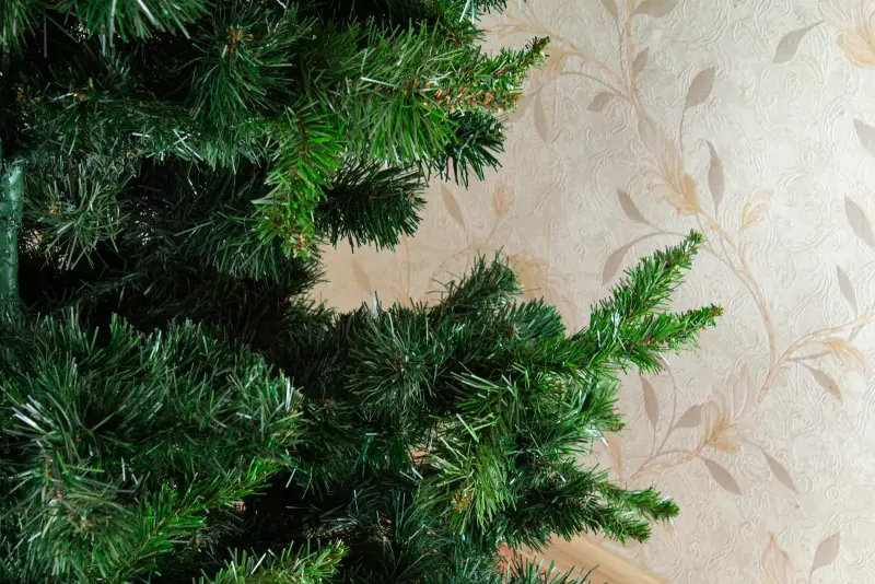 Елка Ель - Вся Беларусь - 231664 - Доска объявлений Kupika.by - Фото 7