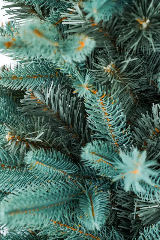 Новогодние товары - Елка искусственная Микс 165см - Вся Беларусь - Фото 6 Елка искусственная Микс 165см - Вся Беларусь - 229378 - Доска объявлений Kupika.by - Фото 6