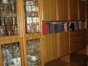 Секция "Свирь"