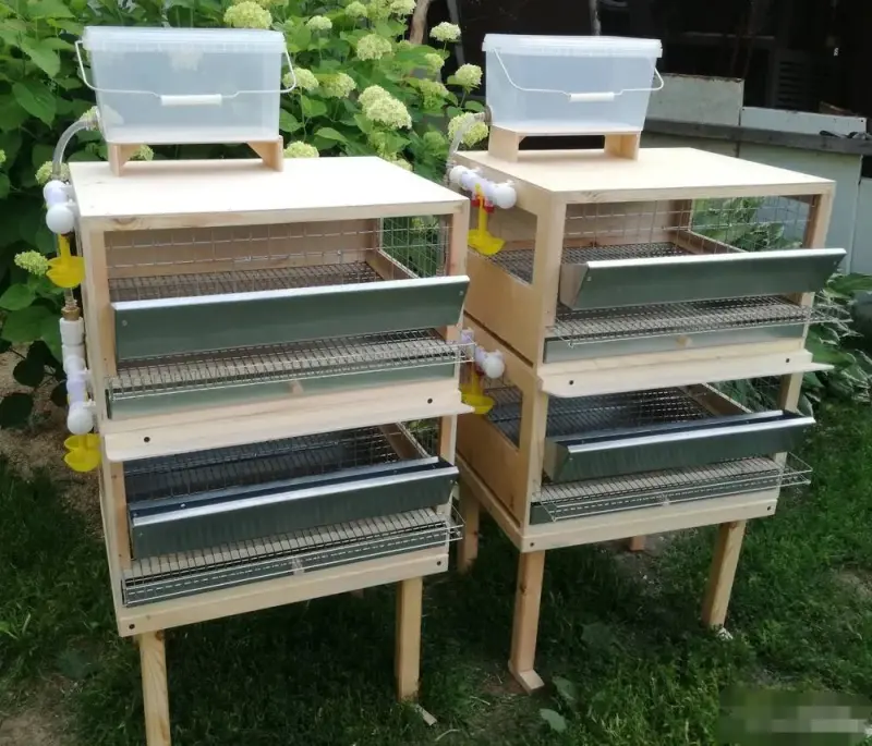 Клетки для содержания перепелов и не только.