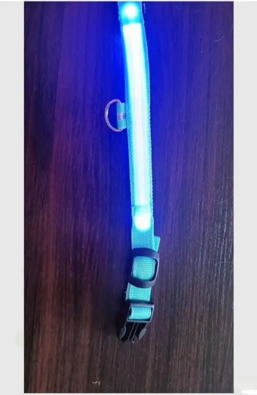Ошейники и поводки - Светодиодный ошейник - Вся Беларусь - Фото 2 Светодиодный ошейник - Вся Беларусь - 229962 - Доска объявлений Kupika.by - Фото 2