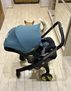 Автолюлька коляска