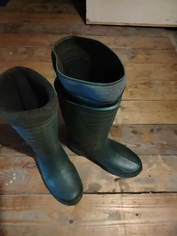 Тёплые Сапоги 50рр