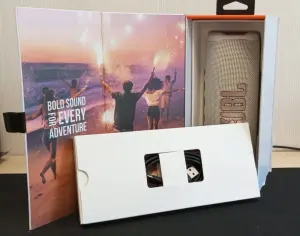 Беспроводная колонка JBL Flip 6 (белый)