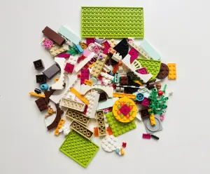 Конструктор LEGO Friends 41110: День рождения ОРИГИНАЛ