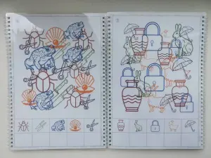 Лэпбук "Дифференциация звуков З-Ж"