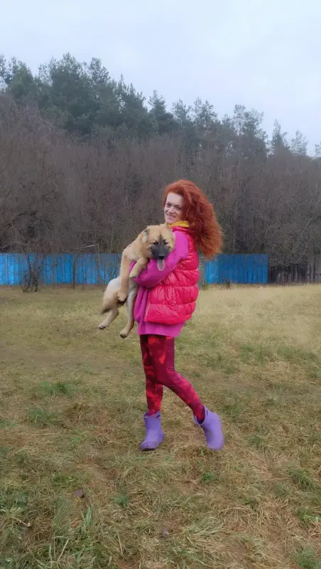 Отдам щенка в дар - Вся Беларусь - 229949 - Доска объявлений Kupika.by - Фото 4