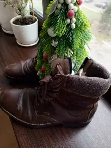 Ботинки мужские зимние Райкер