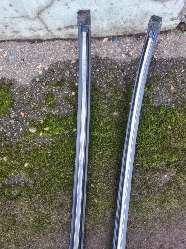 Молдинги крыши Renault Scenic I