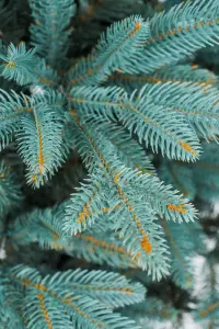 Елка искусственная Микс 165см