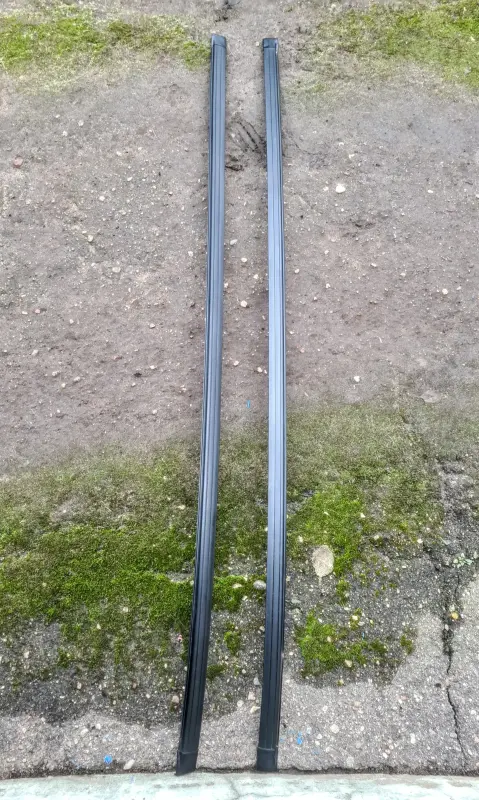 Молдинги крыши Renault Scenic I