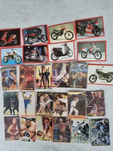 коллекционные карточки street fighter moto panini