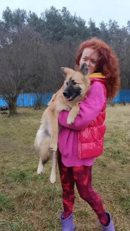 Отдам щенка в дар - Вся Беларусь - 229949 - Доска объявлений Kupika.by - Фото 3