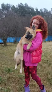 Отдам щенка в дар