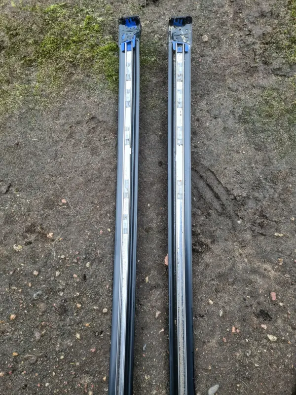 Молдинги крыши Renault Scenic I