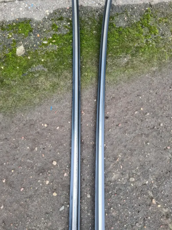 Молдинги крыши Renault Scenic I