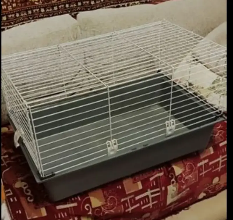 Клетка для морской свинки (кролика)