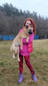 Отдам щенка в дар