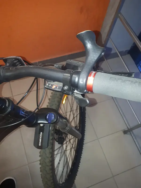 Велосипед Racer Expert 29(зеленый хамелеон))