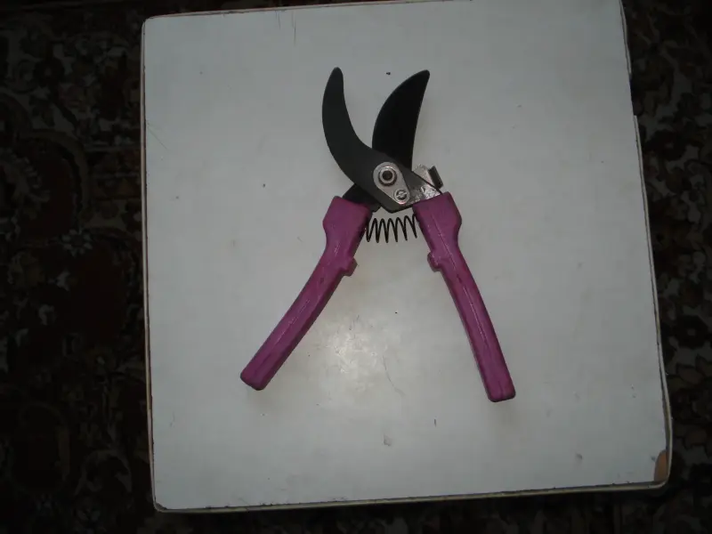 Продам секатор - Вся Беларусь - 230820 - Доска объявлений Kupika.by - Фото 2