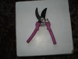 Продам секатор