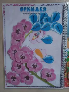 Лэпбук "Звук Р"