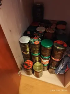 Грибы в любом виде