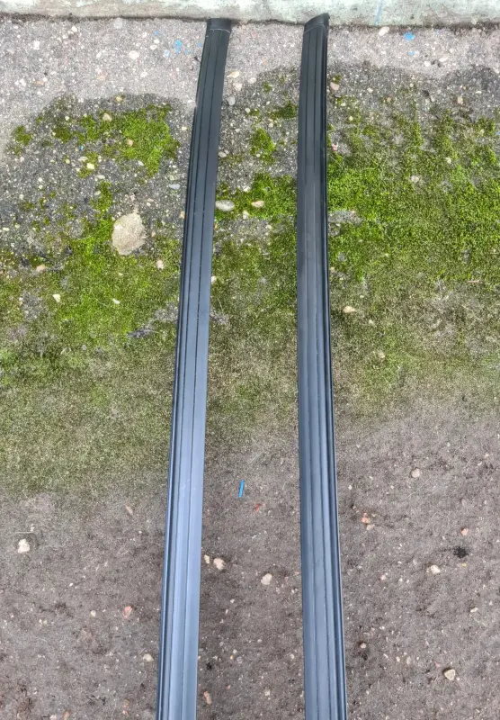 Молдинги крыши Renault Scenic I