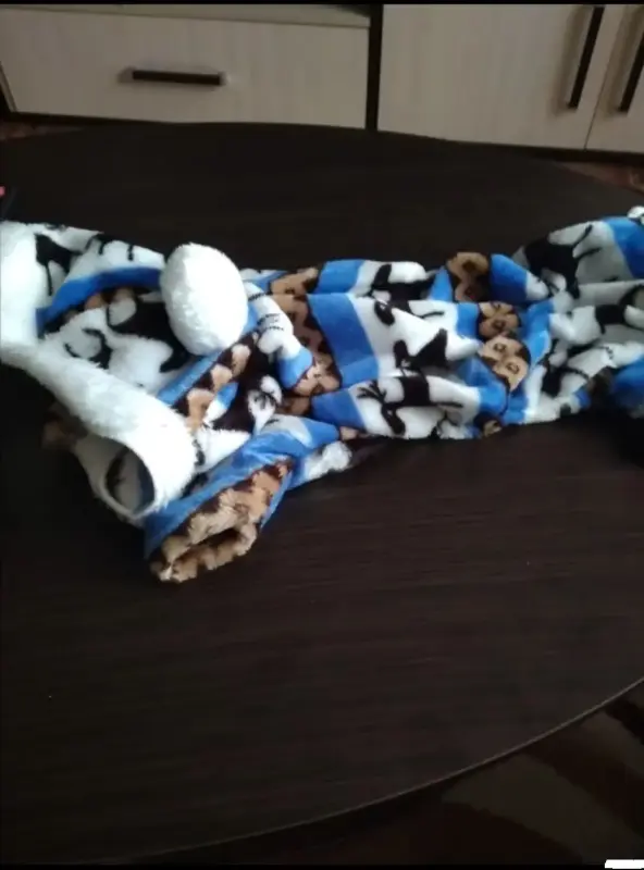 Одежда и обувь для животных - Костюм для животных - Вся Беларусь Костюм для животных - Вся Беларусь - 229220 - Доска объявлений Kupika.by